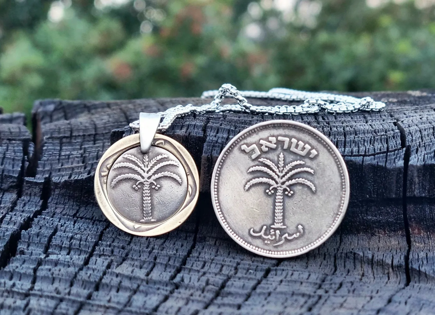 תליון עץ תמר, 100 פרוטה, מהמטבעות הראשונים של ישראל