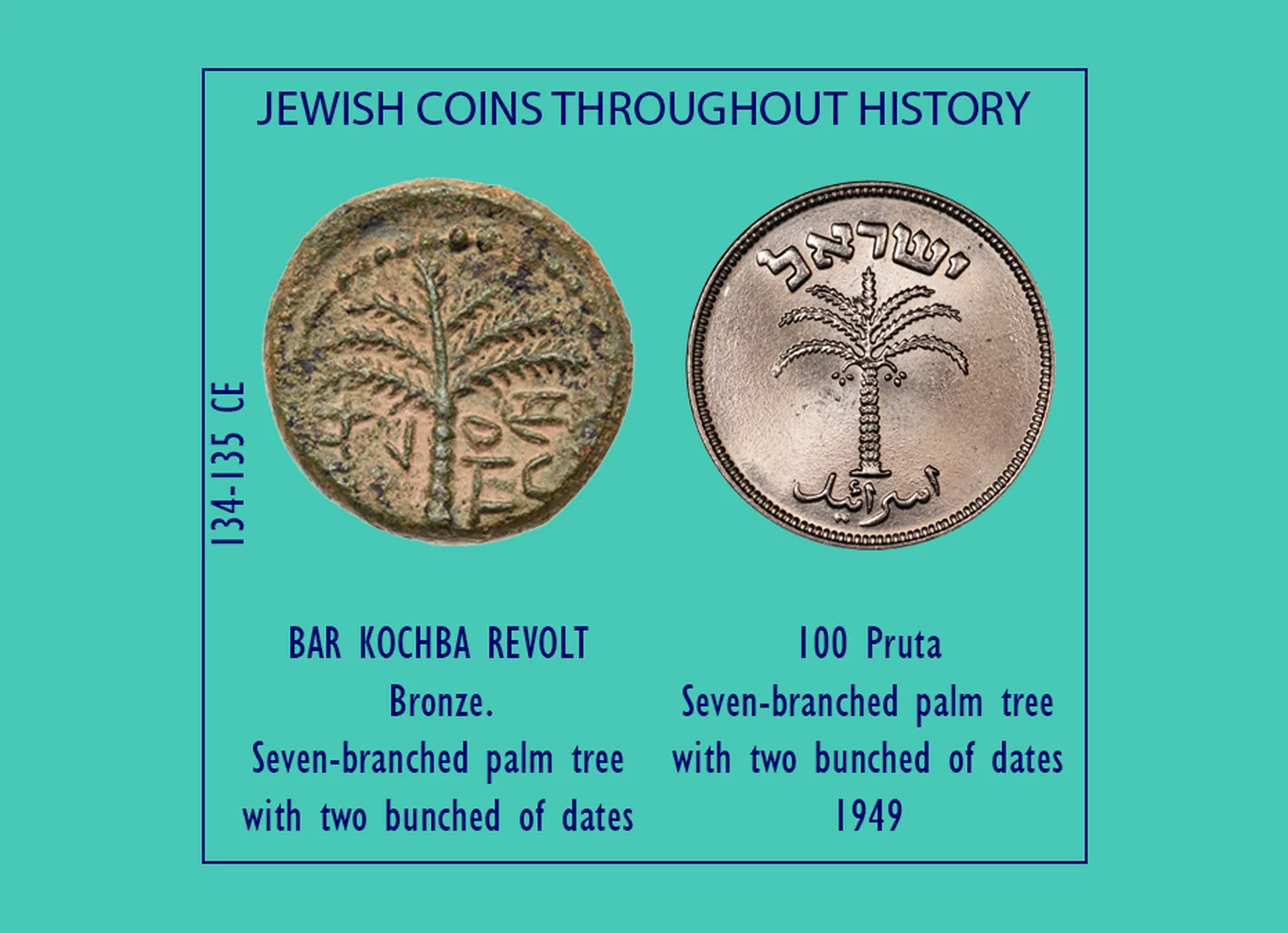 תליון עץ תמר, 100 פרוטה, מהמטבעות הראשונים של ישראל