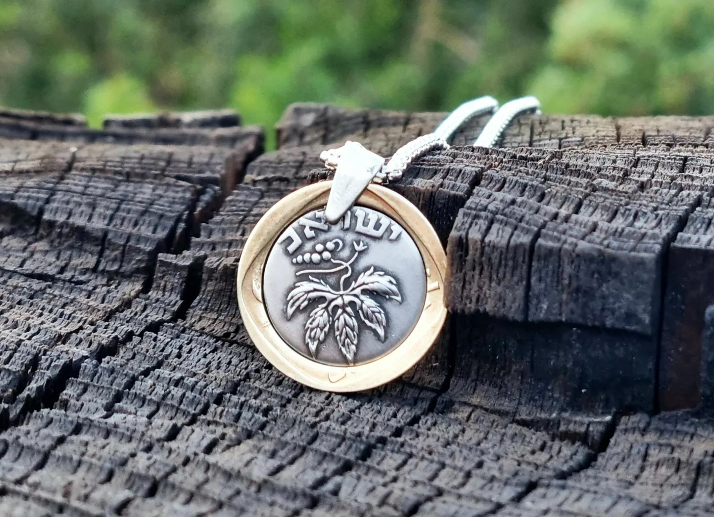 תליון גפן, 50 פרוטה, שנת 1949. מהמטבעות הראשונים של ישראל