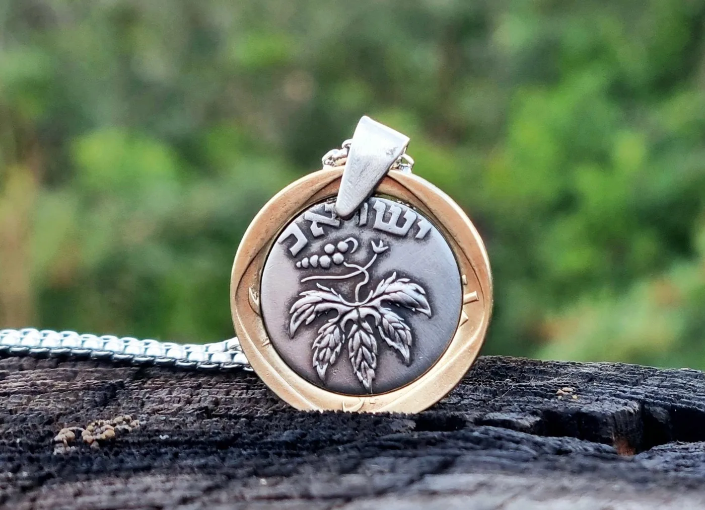 תליון גפן, 50 פרוטה, שנת 1949. מהמטבעות הראשונים של ישראל