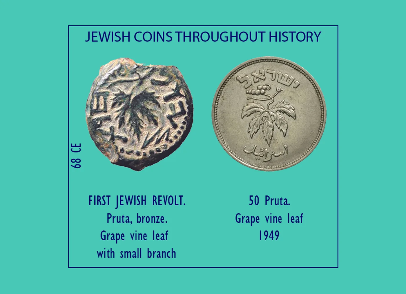 תליון גפן, 50 פרוטה, שנת 1949. מהמטבעות הראשונים של ישראל