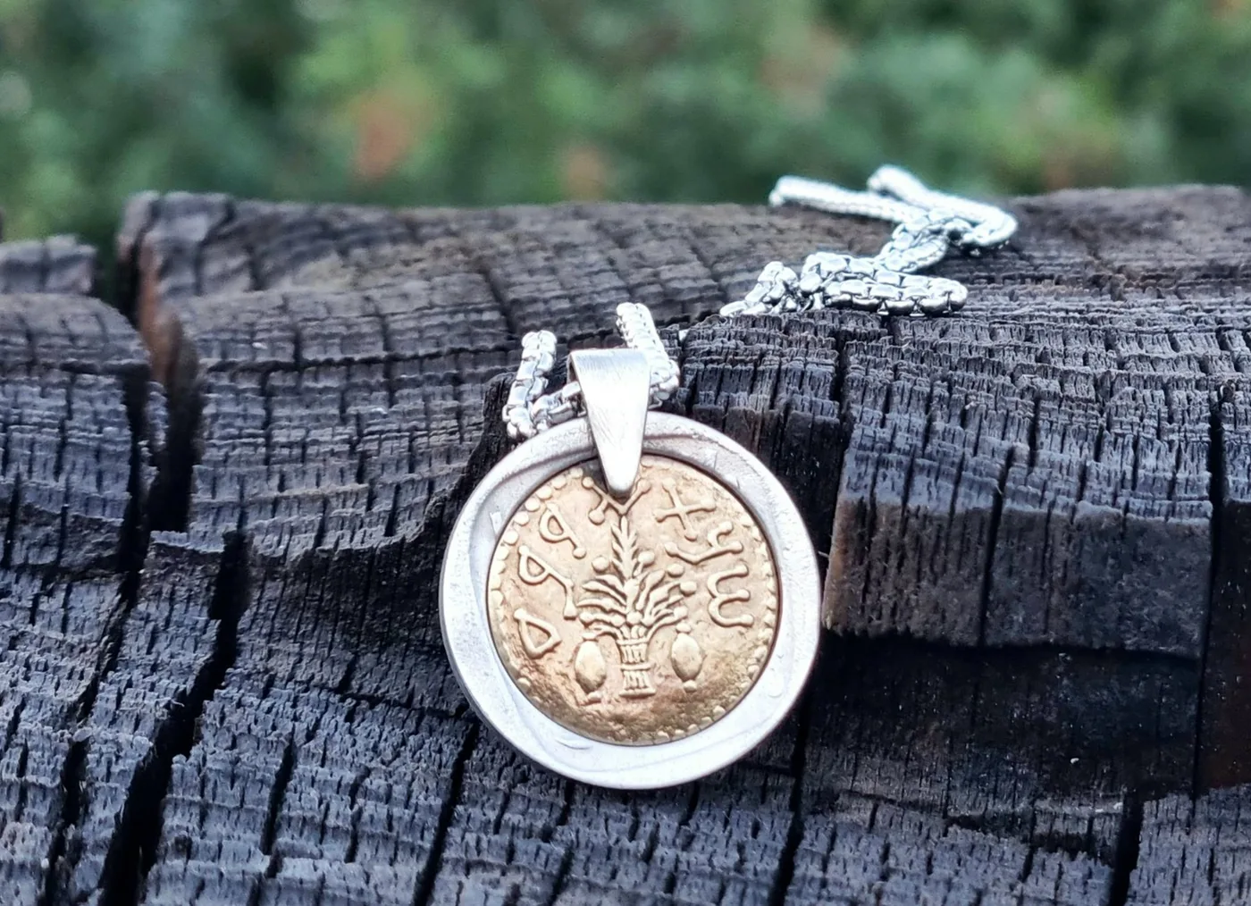 תליון ארבעת המינים, 50 שקלים, שנות ה 80