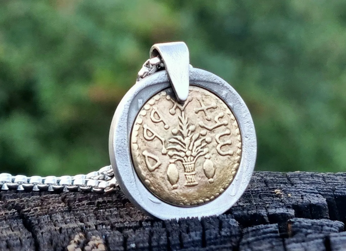 תליון ארבעת המינים, 50 שקלים, שנות ה 80