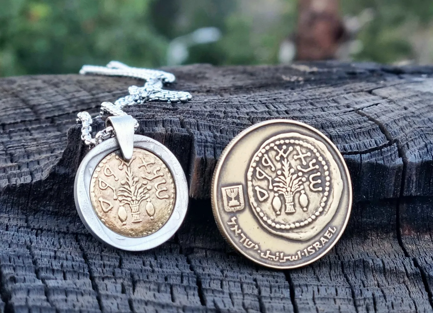 תליון ארבעת המינים, 50 שקלים, שנות ה 80