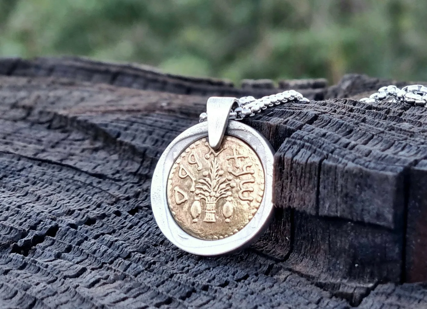 תליון ארבעת המינים, 50 שקלים, שנות ה 80