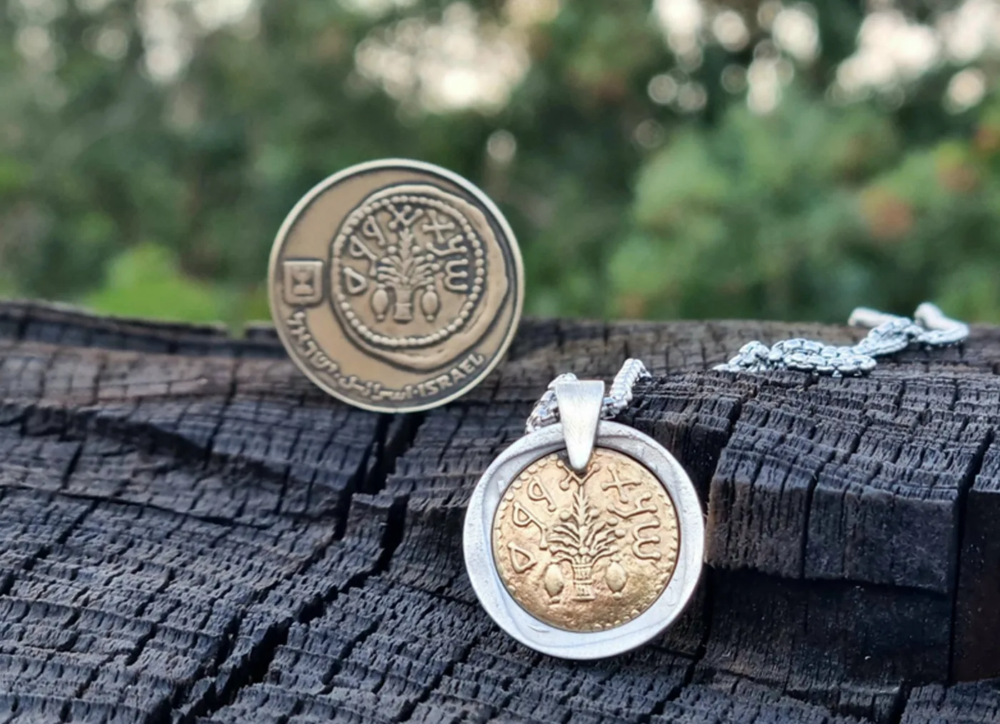 תליון ארבעת המינים, 50 שקלים, שנות ה 80